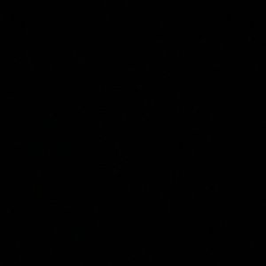 Meet your Posher, Damonte